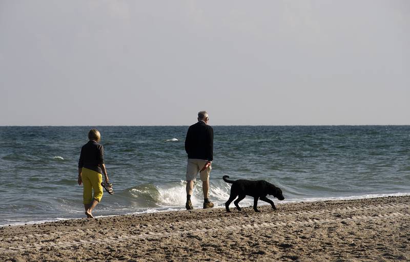 Urlaub mit Hund Boltenhagen Hundestrand Ferienhaus Ferienwohnung Ostsee